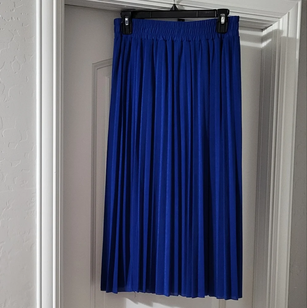 Skirt - Picture 2 of 2